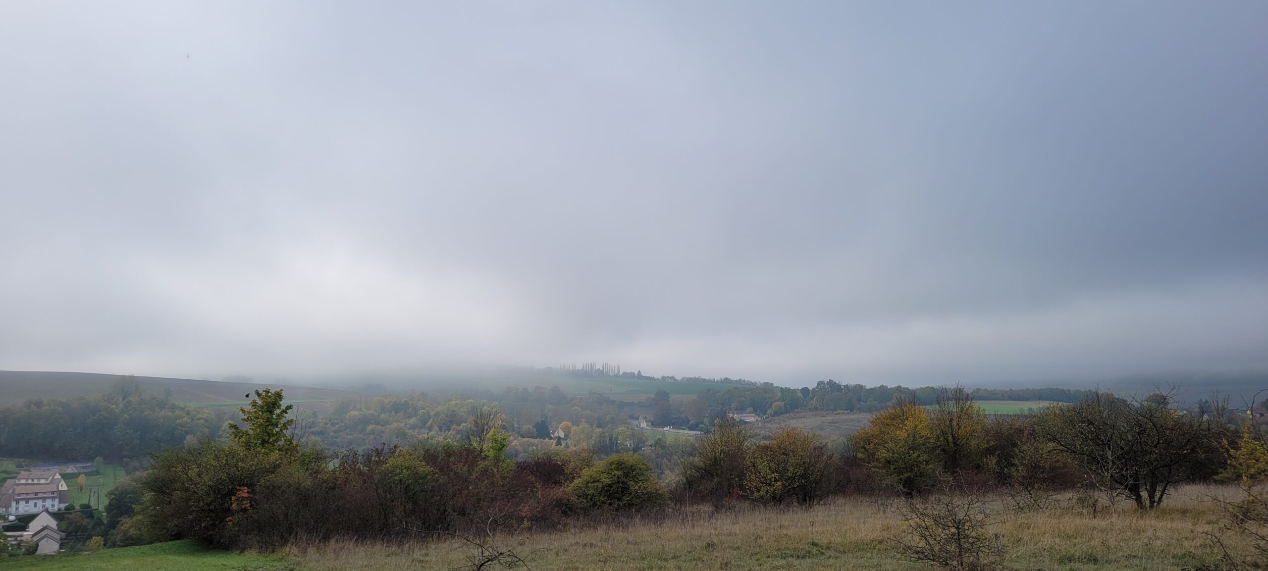 foggy countryside