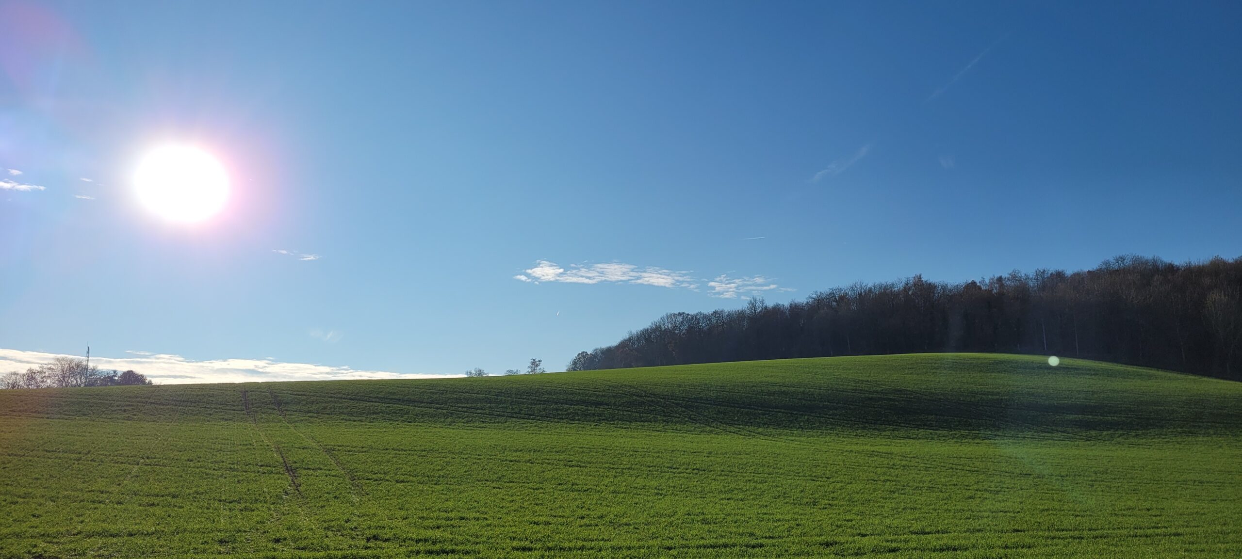 a green hill with the sun low in the blue sky