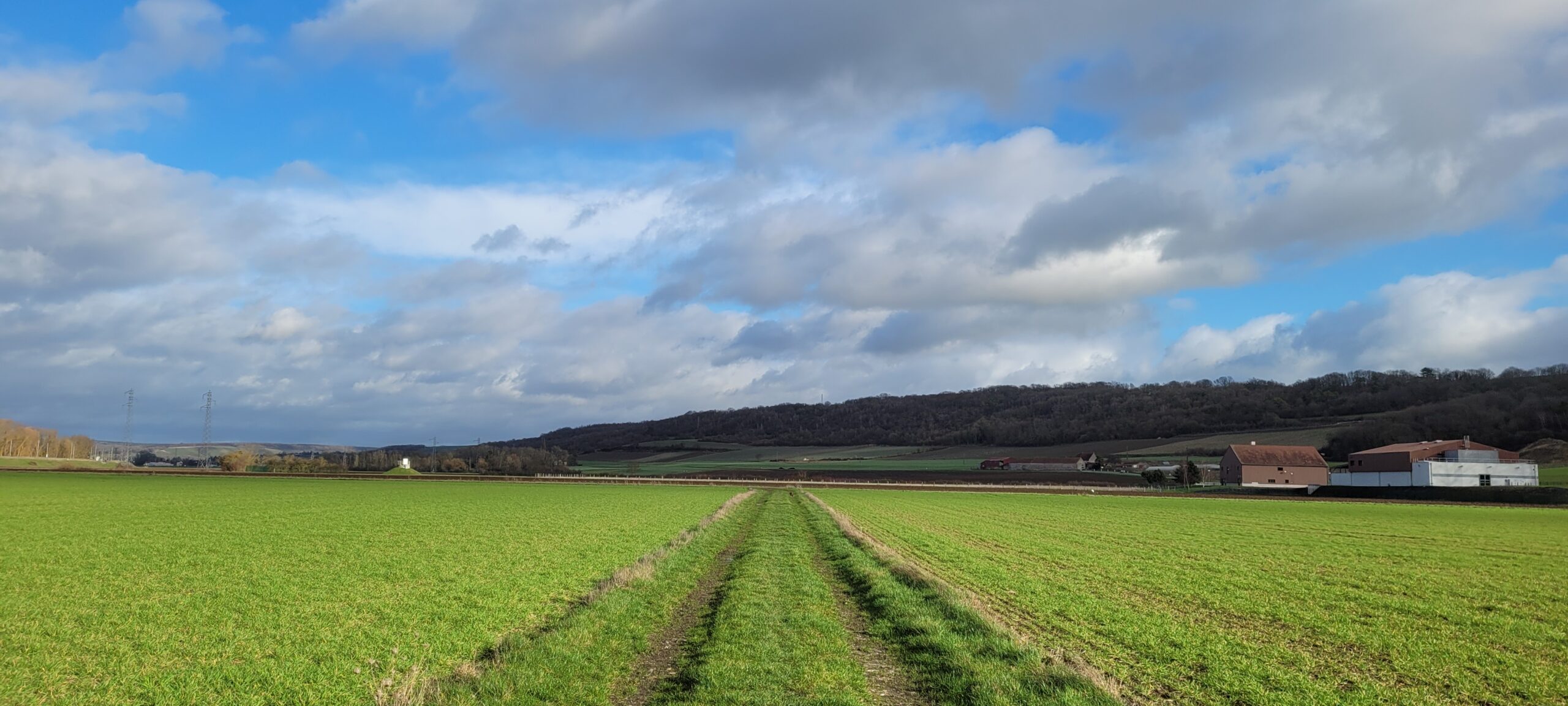 a blue sky with white clouds over a green farm field