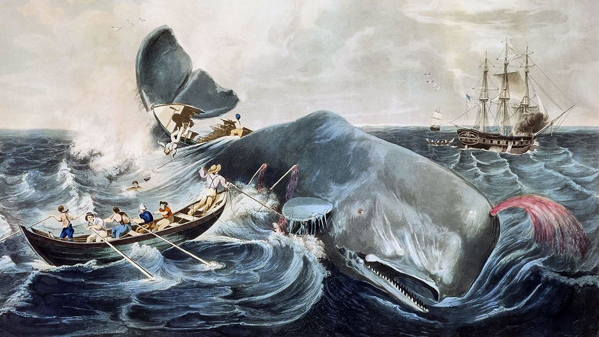 art from Moby Dick